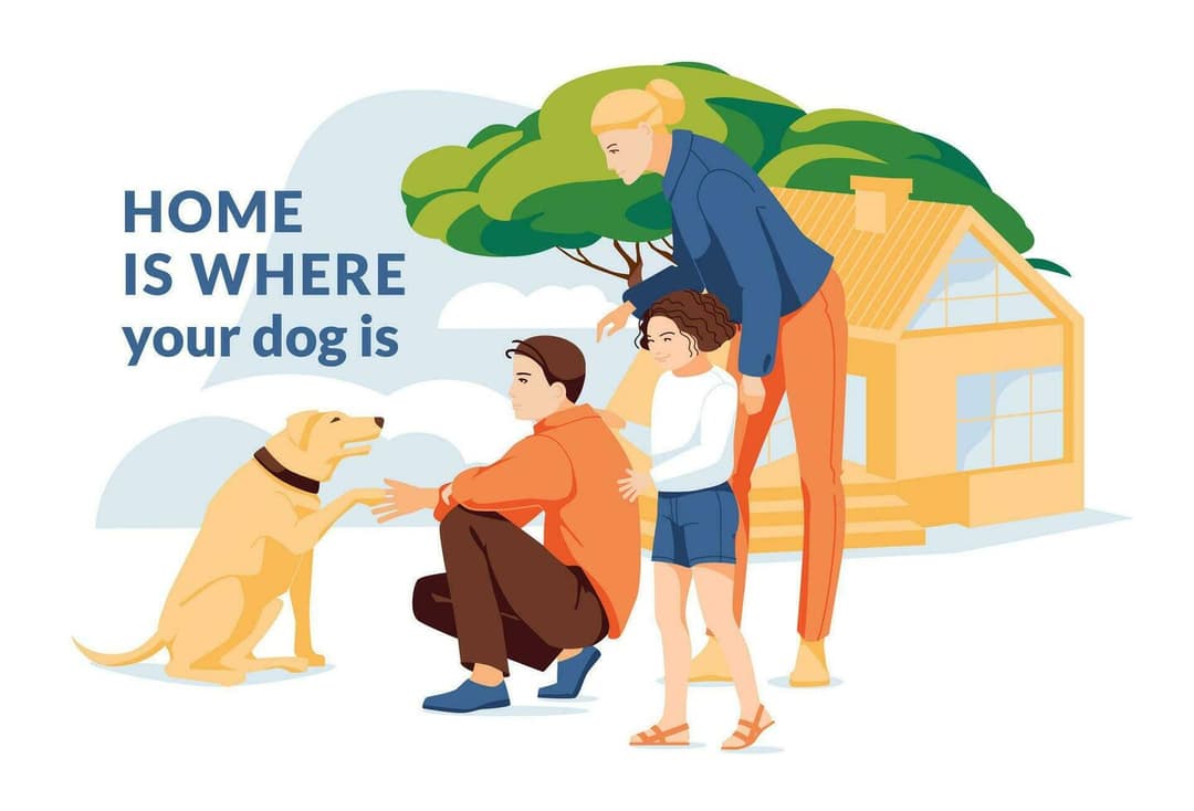 pet